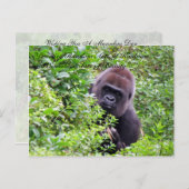 Random Acts of Kindness Postcard - Gorilla Edition Postkarte (Vorne/Hinten)