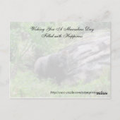 Random Acts of Kindness Postcard - Gorilla Edition Postkarte (Rückseite)