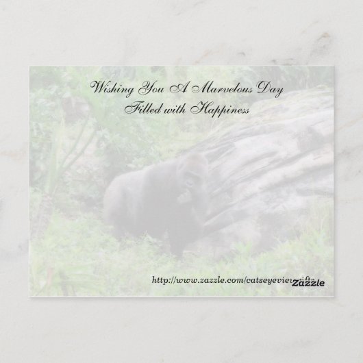 Random Acts of Kindness Postcard - Gorilla Edition Postkarte (Rückseite)