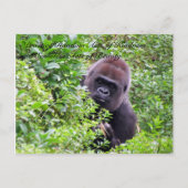 Random Acts of Kindness Postcard - Gorilla Edition Postkarte (Vorderseite)