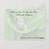 Random Acts of Kindness Postcard - Green Tree Frog Postkarte (Rückseite)