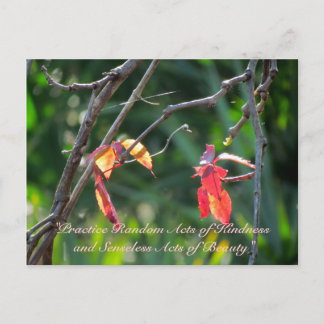 Random Acts of Kindness Postcard - Herbstlaubs Postkarte