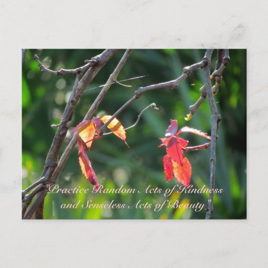 Random Acts of Kindness Postcard - Herbstlaubs Postkarte (Vorderseite)