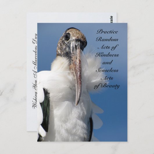 Random Acts of Kindness Postcard - Holzstorch Postkarte (Vorne/Hinten)