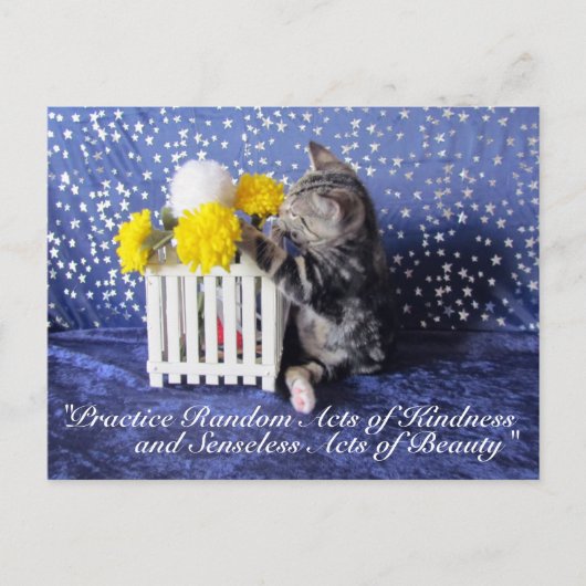 Random Acts of Kindness Postcard - Lilo 3809a Postkarte (Vorderseite)