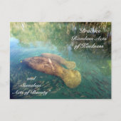 Random Acts of Kindness Postcard - Manatee Postkarte (Vorderseite)