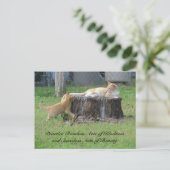 Random Acts of Kindness Postcard - Momma Kitty Postkarte (Stehend Vorderseite)