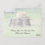 Random Acts of Kindness Postcard - Momma Kitty Postkarte (Rückseite)