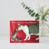 Random Acts of Kindness Postcard - Sind Sie mein V Postkarte (Stehend Vorderseite)