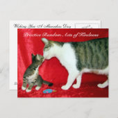 Random Acts of Kindness Postcard - Sind Sie mein V Postkarte (Vorne/Hinten)