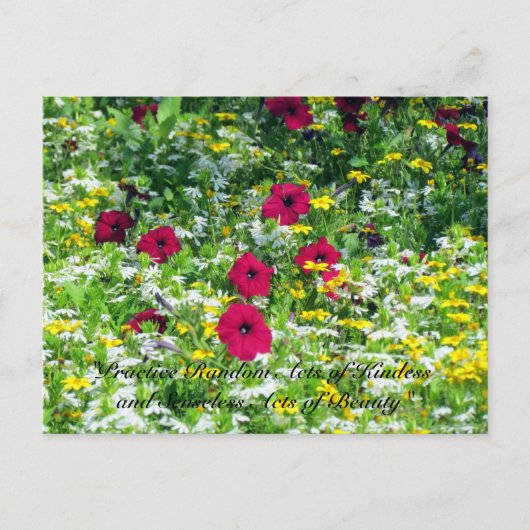 Random Acts of Kindness Postcard - Wildblumen Postkarte (Vorderseite)