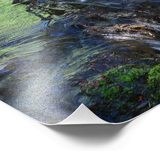 Random Beauty Fotodruck (Ecke)