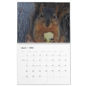 Random-Fotos Kalender (Mär 2026)