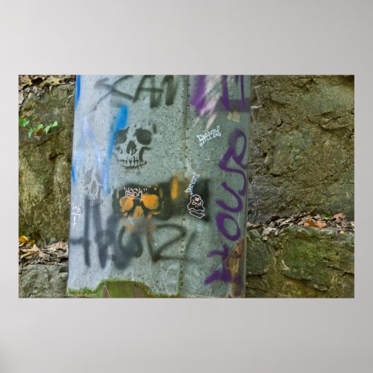 Random Graffiti: Skulls am Pipe Redux Poster (Vorne)