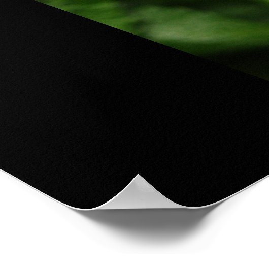 Random Kindness Poster (Ecke)