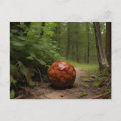 Random Meatball in Wald Postkarte (Vorderseite)