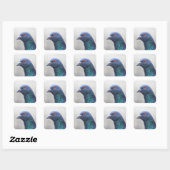 Random Pigeon Quadratischer Aufkleber (Blatt)