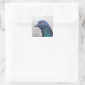 Random Pigeon Quadratischer Aufkleber (Tasche)