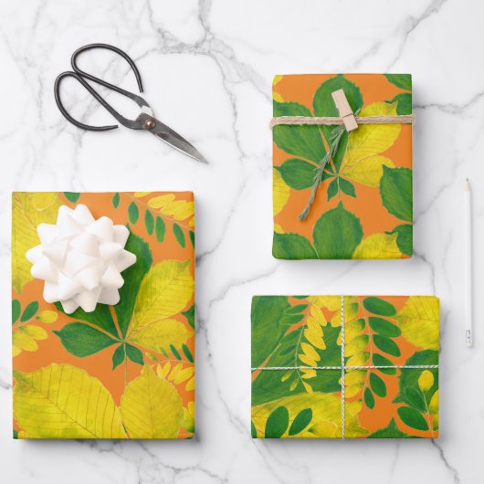 'Rang De Basanti' auf einem Set zum Umpackpapier Geschenkpapier Set (Vorderseite)