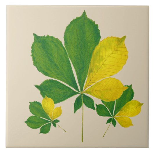 'Rang De Basanti' auf einer Keramik (I) Fliese (Vorderseite)