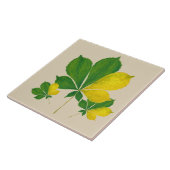 'Rang De Basanti' auf einer Keramik (I) Fliese (Seite)