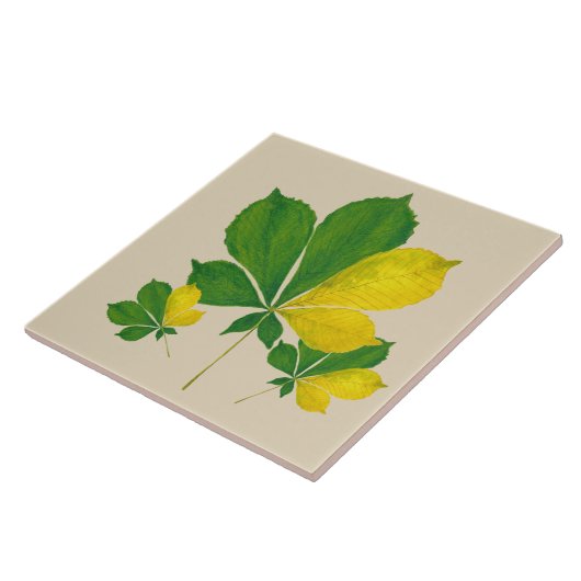 'Rang De Basanti' auf einer Keramik (I) Fliese (Seite)