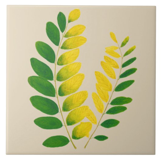 'Rang De Basanti' auf einer Keramik (II) Fliese (Vorderseite)