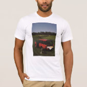 Range Rover Classic Polo Match Picknick (Vorderseite)