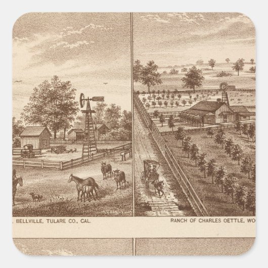 Ränge, Ställe, Tulare Co., Cal Quadratischer Aufkleber (Vorderseite)
