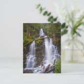 Ranger Falls, Rainer National Park Postkarte (Stehend Vorderseite)