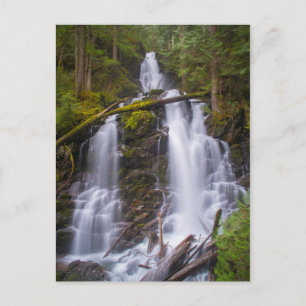 Ranger Falls, Rainer National Park Postkarte