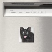 Ranger Kitten Cleaning Paw Magnet (In Situ (Geschirrspüler))