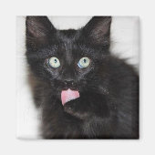 Ranger Kitten Cleaning Paw Magnet (Vorne)