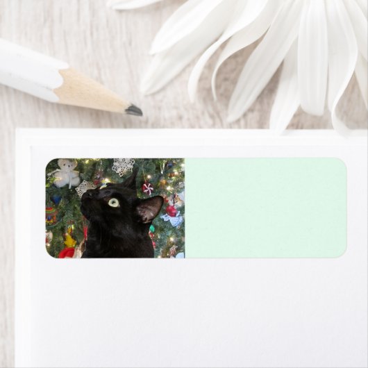 Ranger Kitty Christmas Return Labels (Insitu)