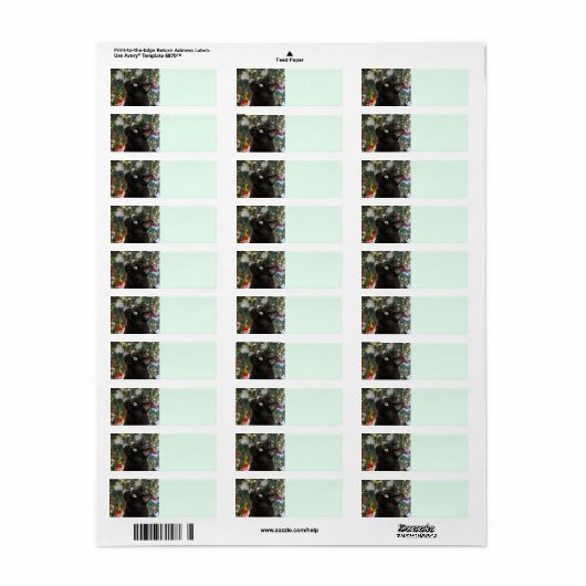 Ranger Kitty Christmas Return Labels (Vorne)