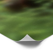 RANGER RANGER! 12 POSTER (Ecke)