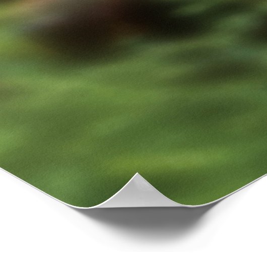 RANGER RANGER! 12 POSTER (Ecke)