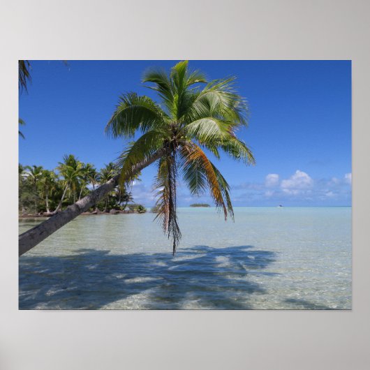 Rangiroa Blue Lagoon Tropical Palm Poster (Vorne)