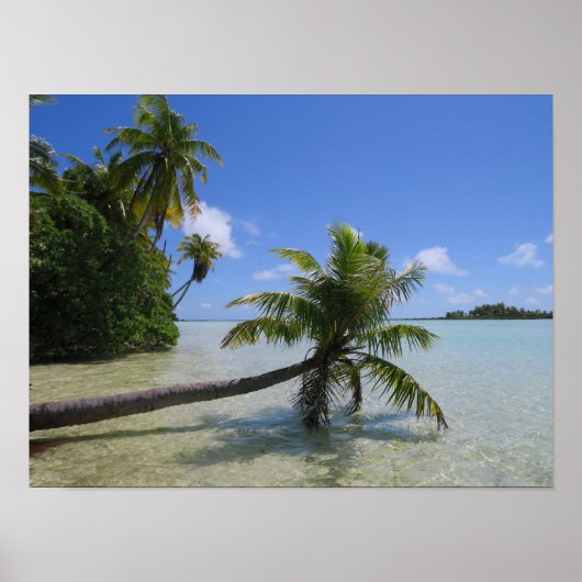 Rangiroa Palm Tree Poster (Vorne)