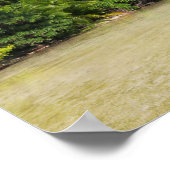 Rangiroa Palm Trees Poster (Ecke)