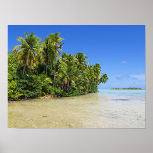 Rangiroa Palm Trees Poster (Vorne)