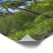 Rangiroa Palm Trees Poster (Ecke)