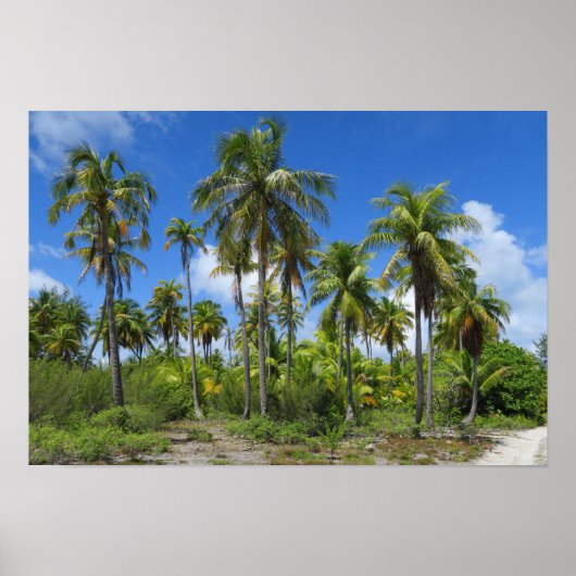 Rangiroa Palm Trees Poster (Vorne)