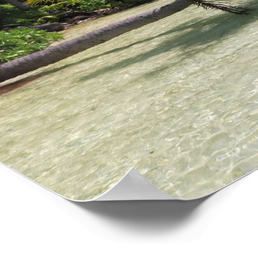 Rangiroa Palm Trees Poster (Ecke)