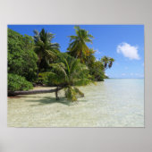 Rangiroa Palm Trees Poster (Vorne)