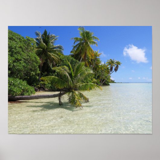 Rangiroa Palm Trees Poster (Vorne)