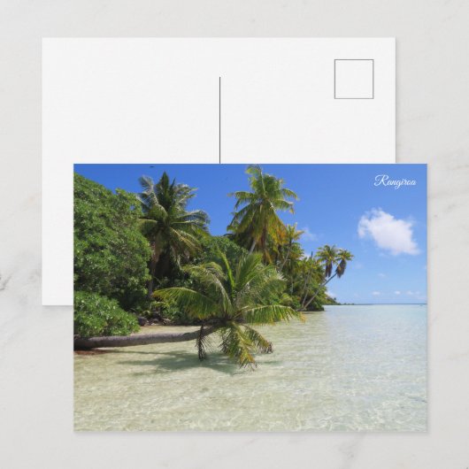 Rangiroa Palm Trees Postkarte (Vorne/Hinten)