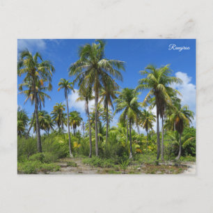 Rangiroa-Palmen Feiertagspostkarte