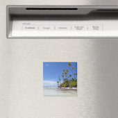 Rangiroa-Palmen Magnet (In Situ (Geschirrspüler))