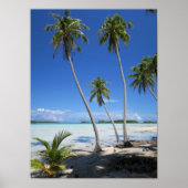 Rangiroa Poster (Vorne)